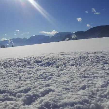 Allgaeu 아파트