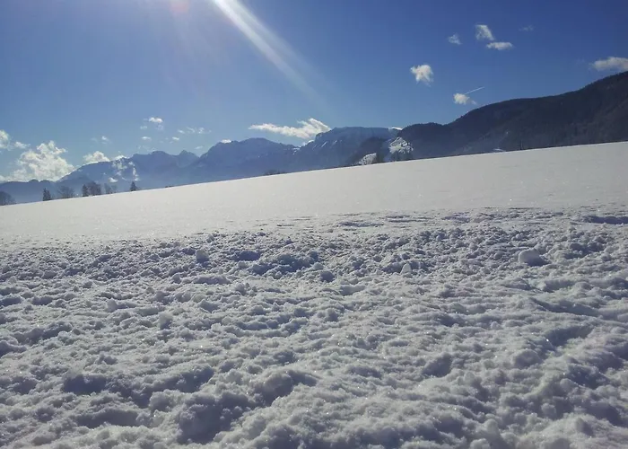 Allgaeu 아파트