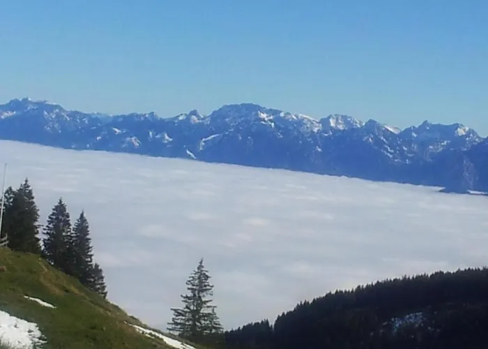 Allgaeu 네쎌방